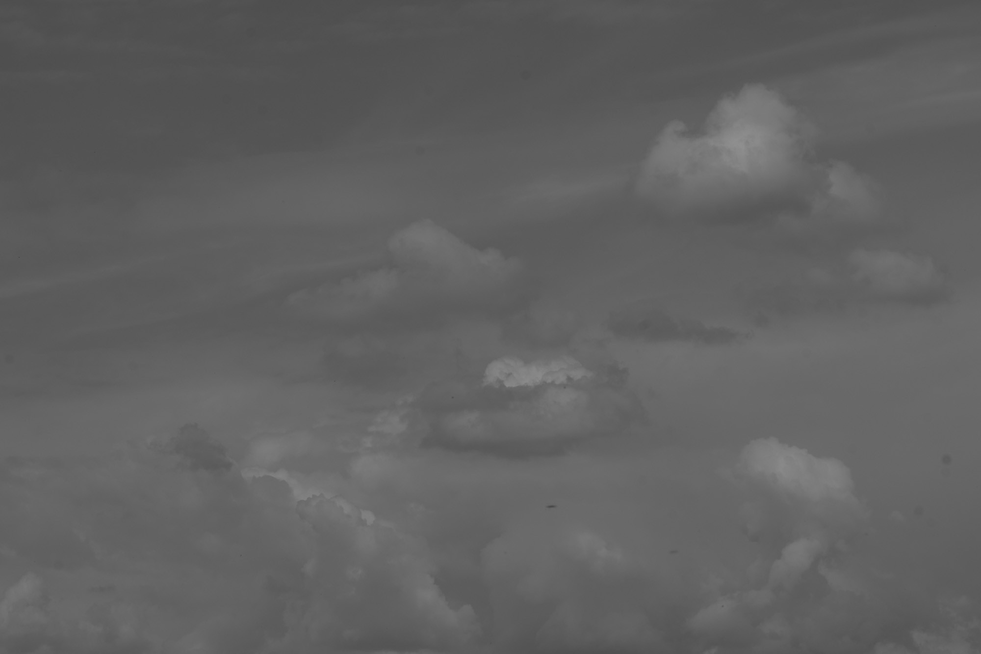 _DSC3735