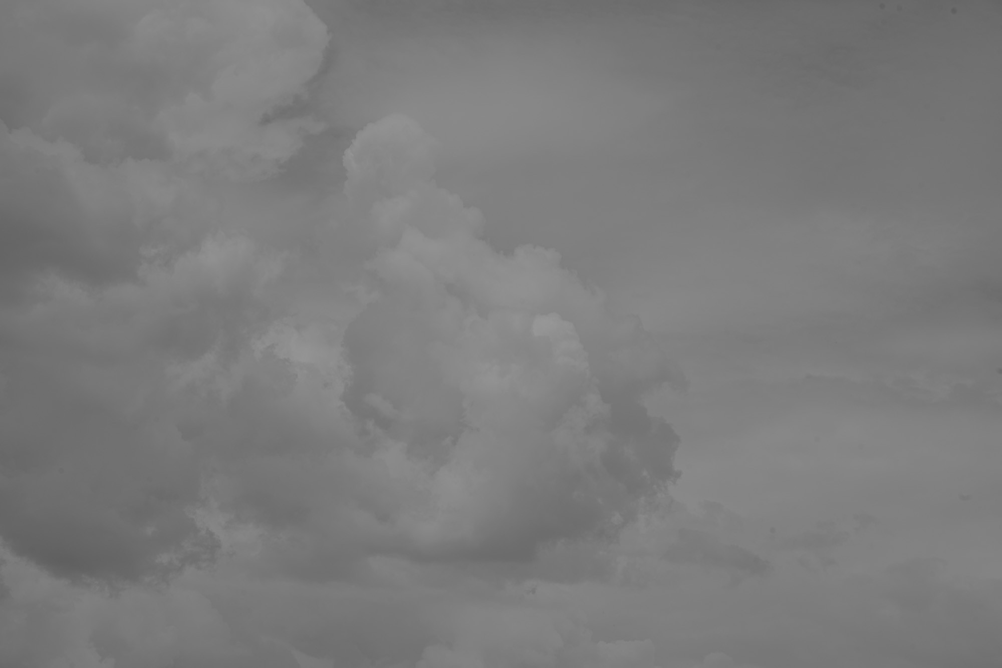 _DSC3743