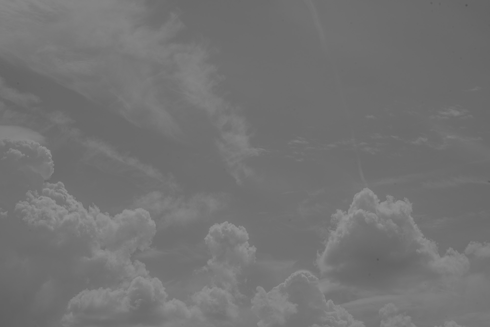 _DSC3744
