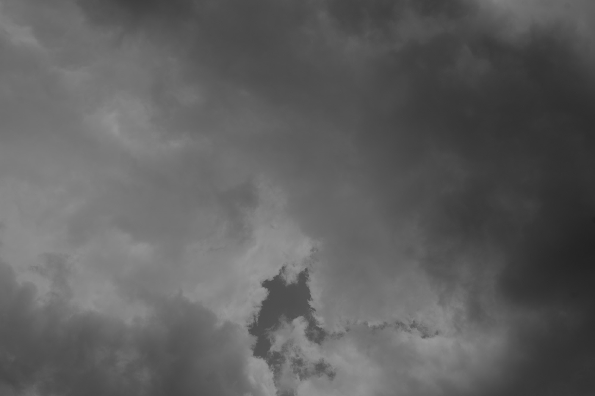 _DSC3832