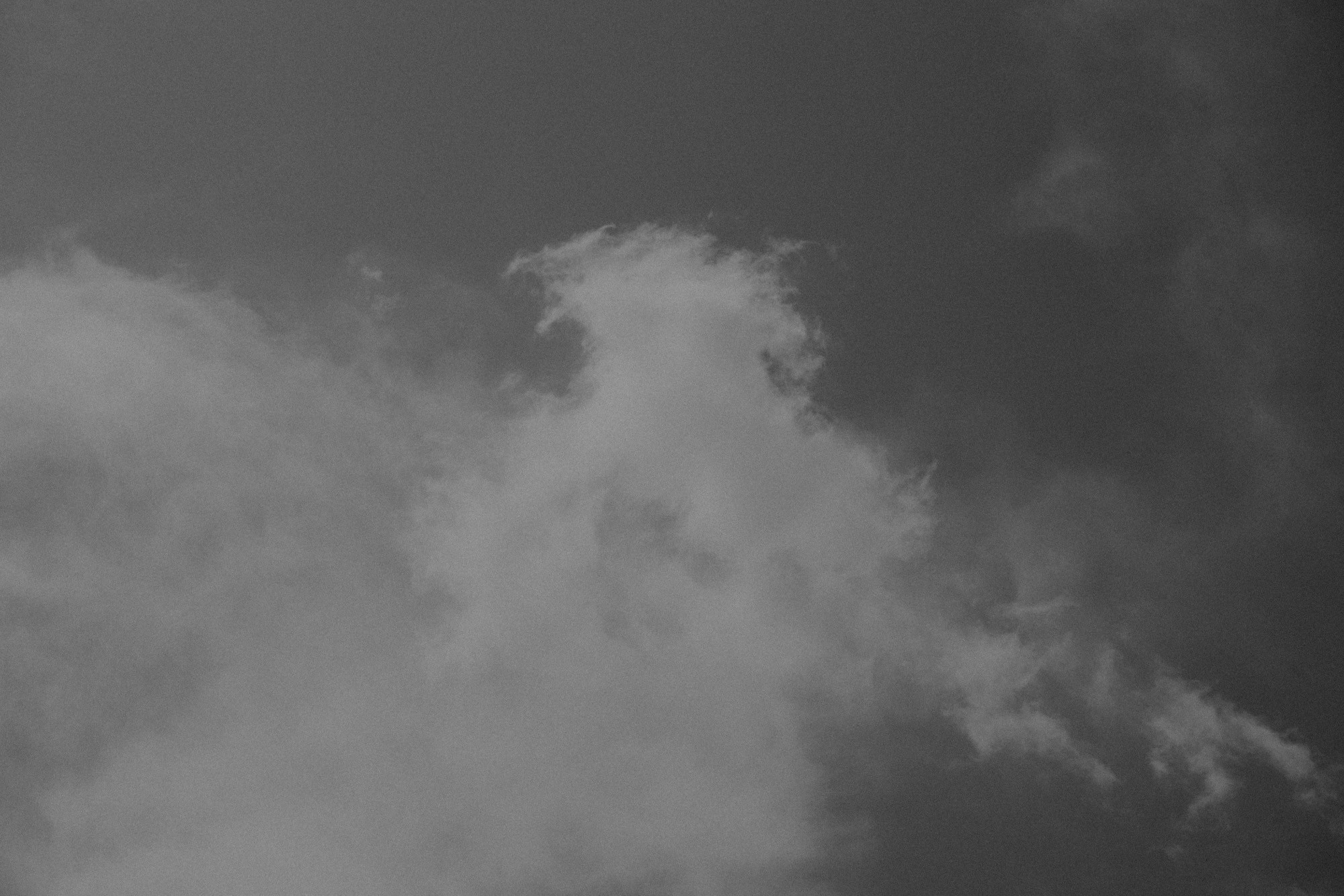 _DSC3848