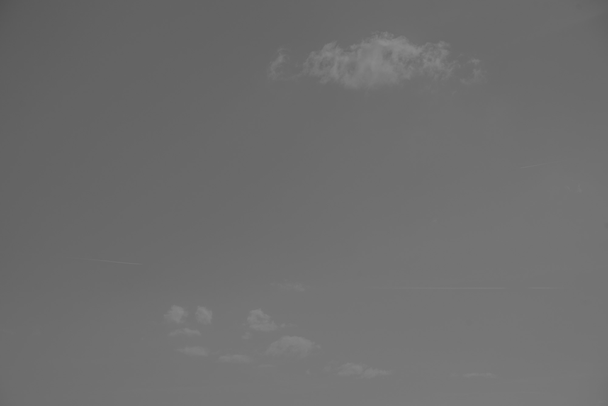 _DSC3880