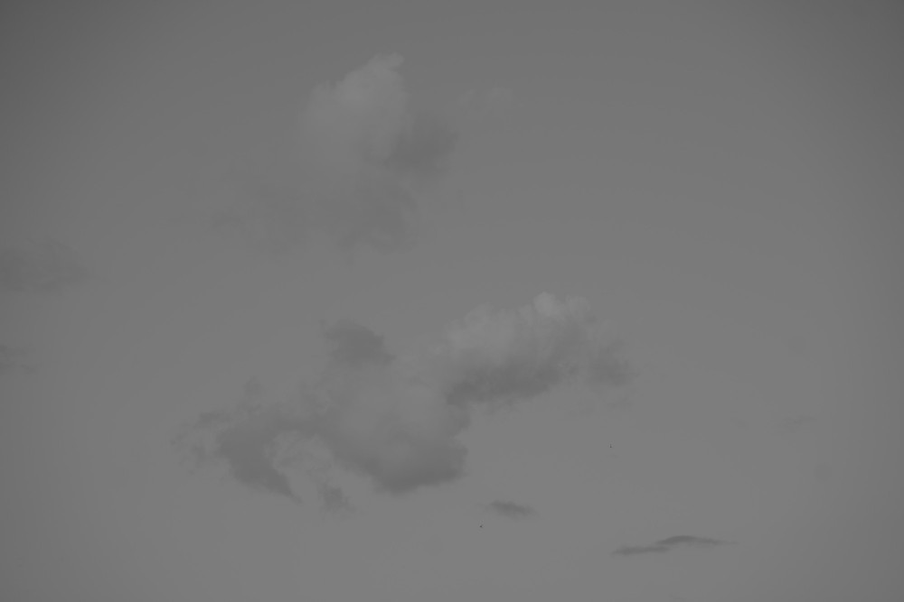 _DSC1696