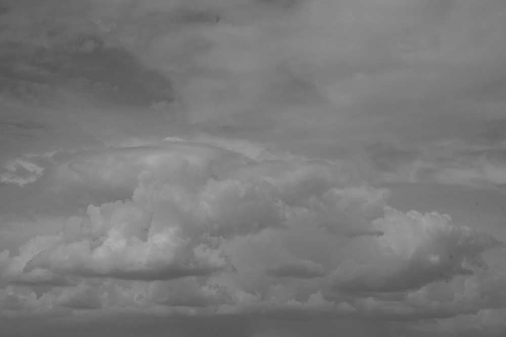 _DSC3734