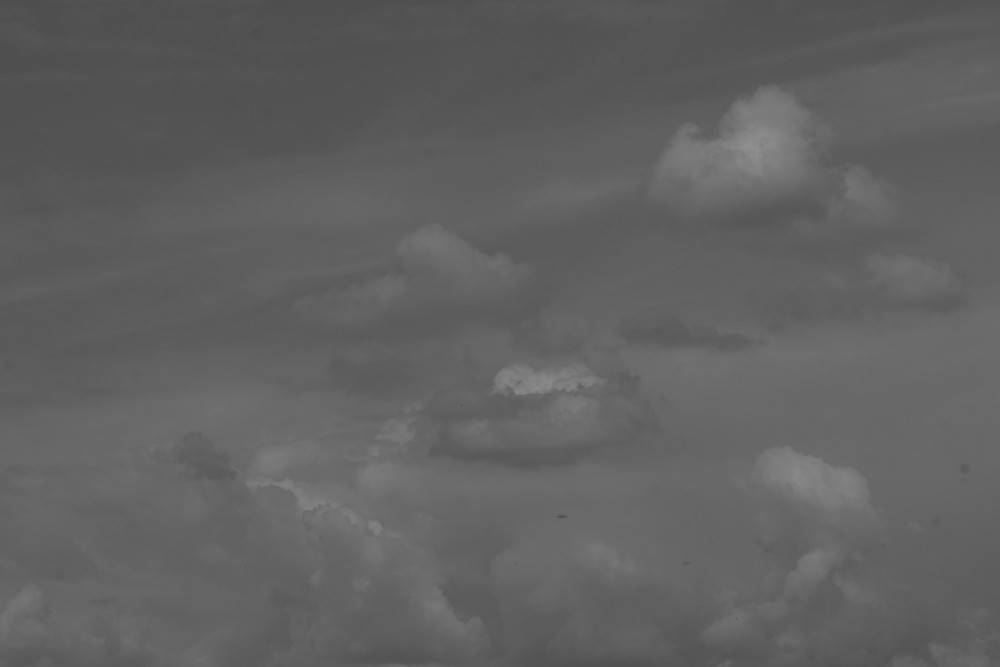 _DSC3735
