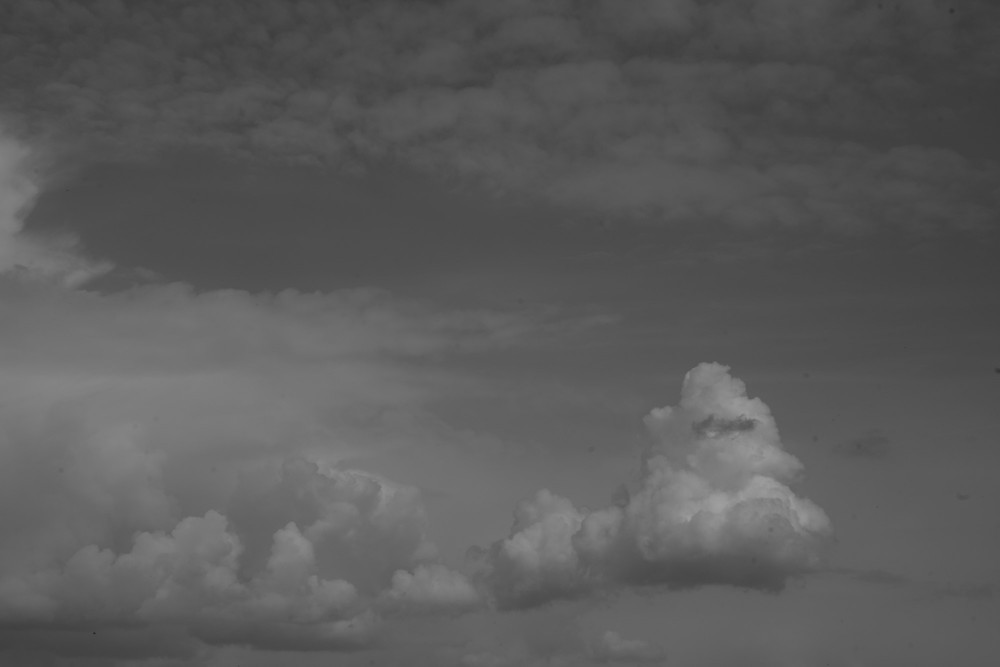 _DSC3736