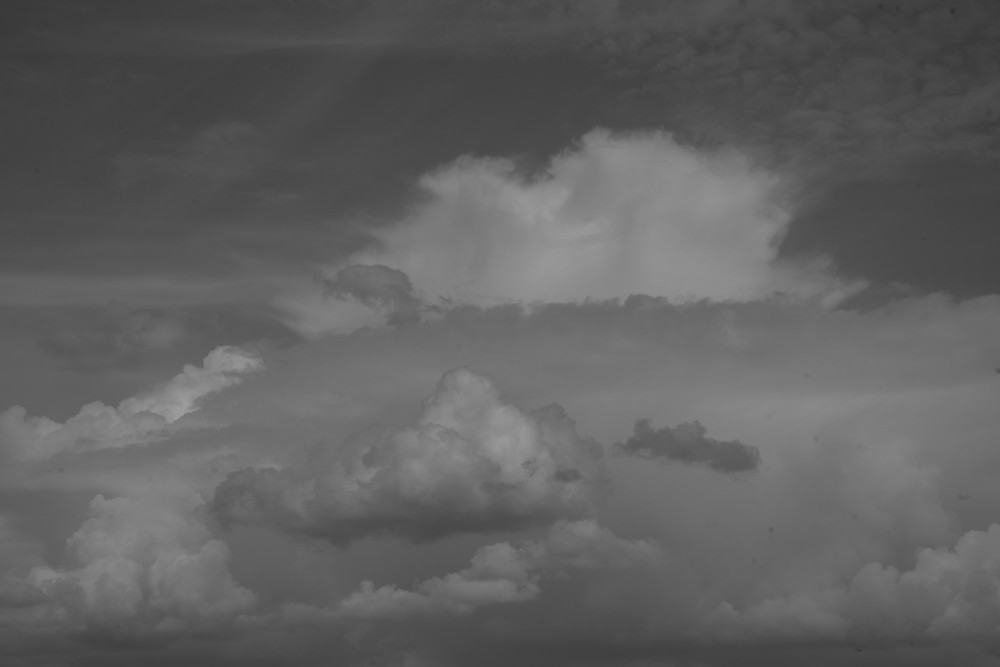 _DSC3737