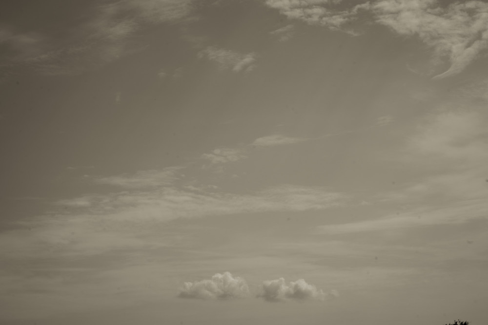 _DSC3738