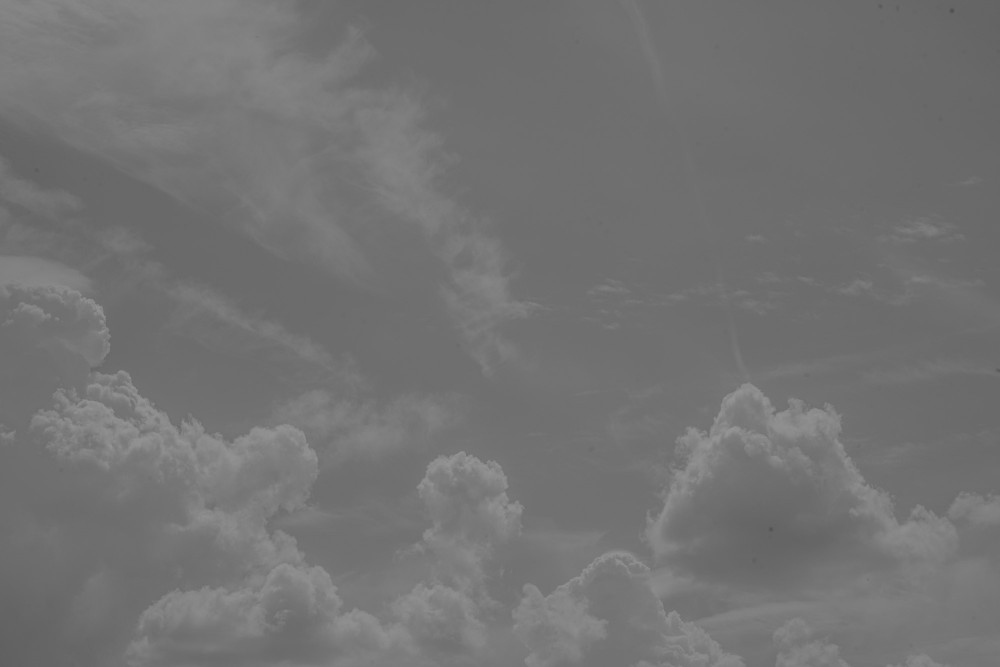 _DSC3744