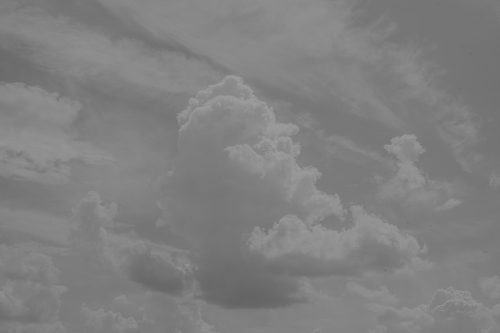 _DSC3746