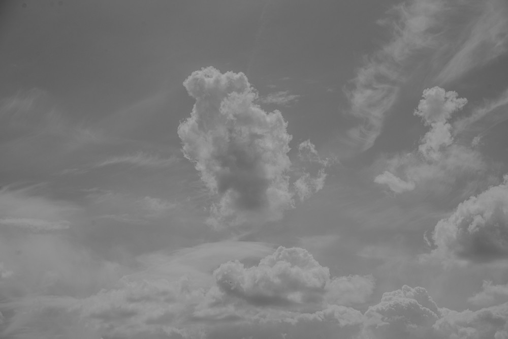 _DSC3748