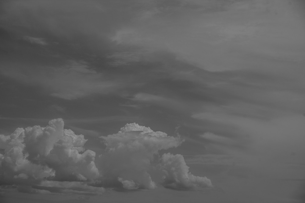 _DSC3751