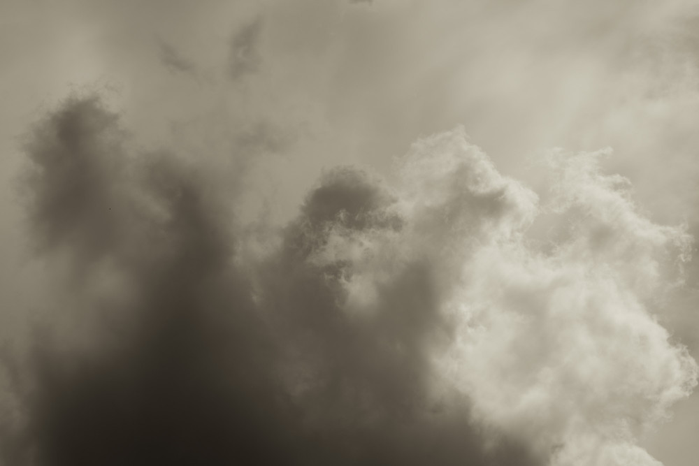 _DSC3789