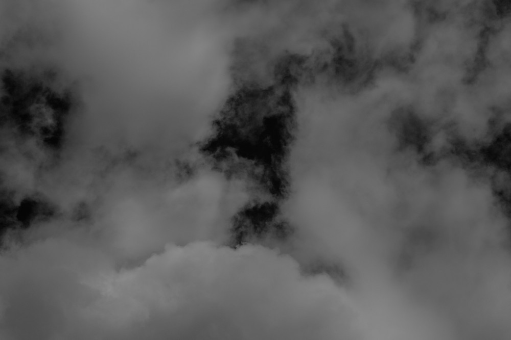 _DSC3818