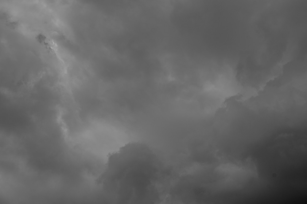 _DSC3819