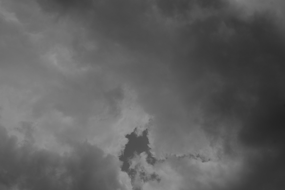 _DSC3832