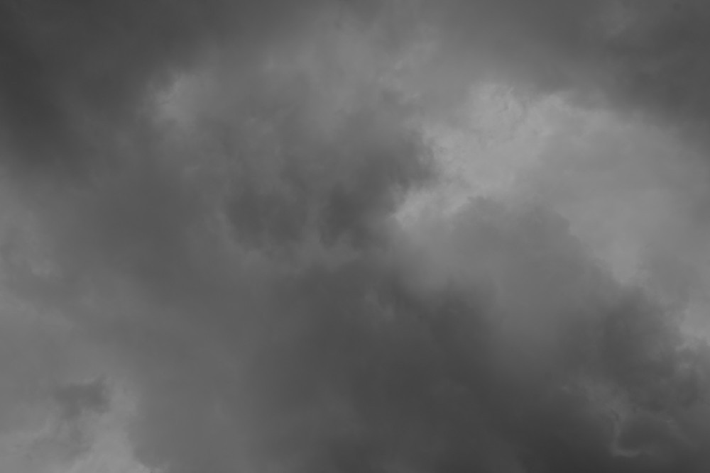 _DSC3835