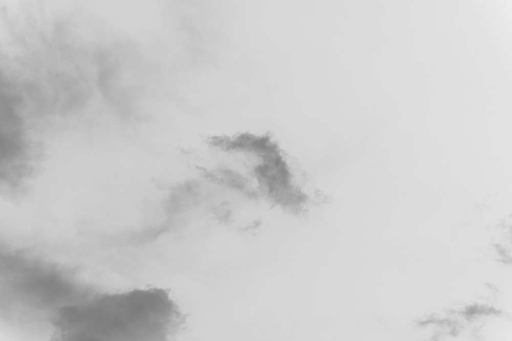 _DSC3846
