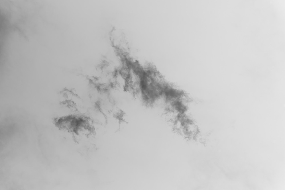 _DSC3847