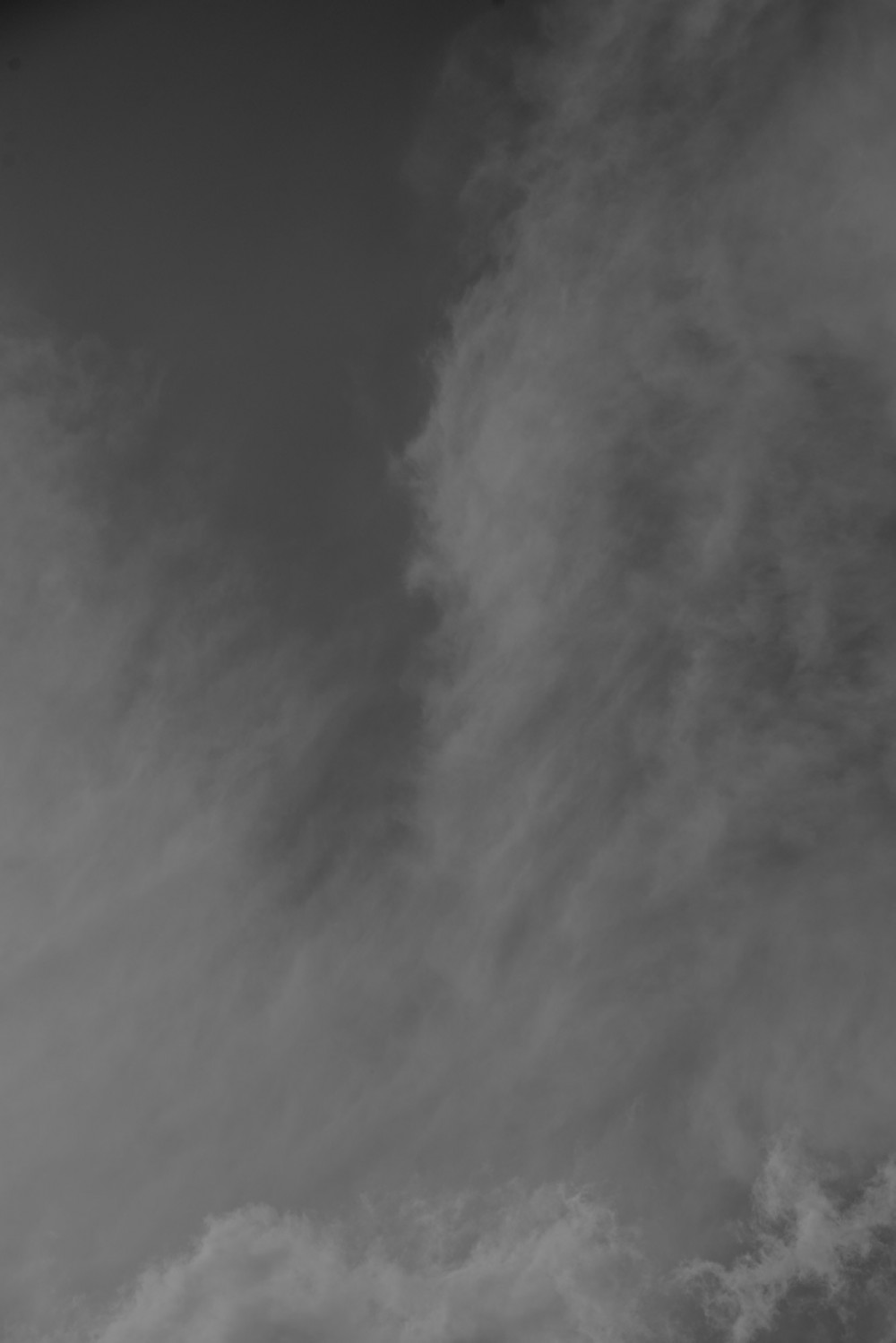 _DSC3854