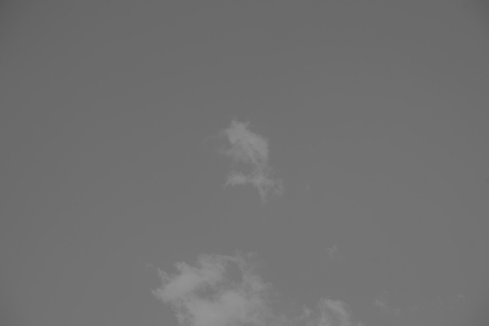 _DSC3876