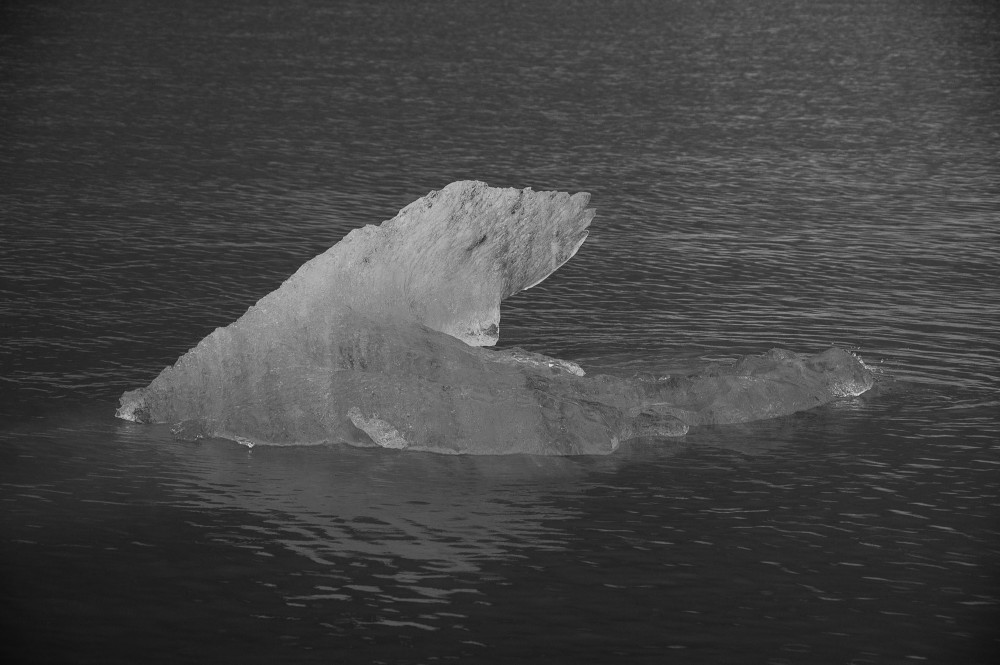 ©ElsaLaurent-Iceberg-34