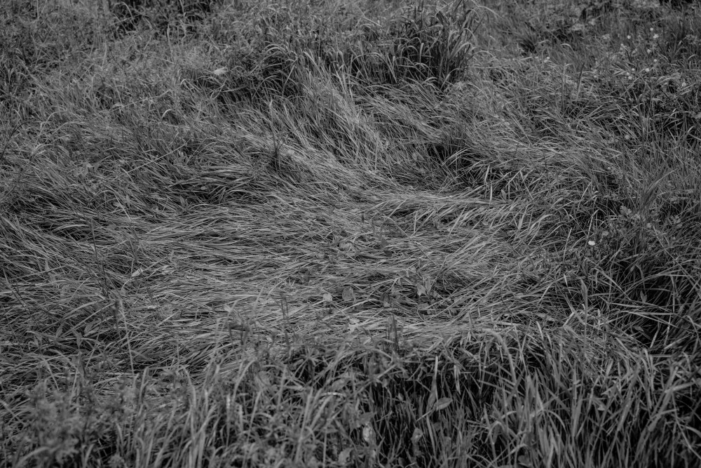 ©ElsaLaurent_LesPasseurs_30042020_DSC1514