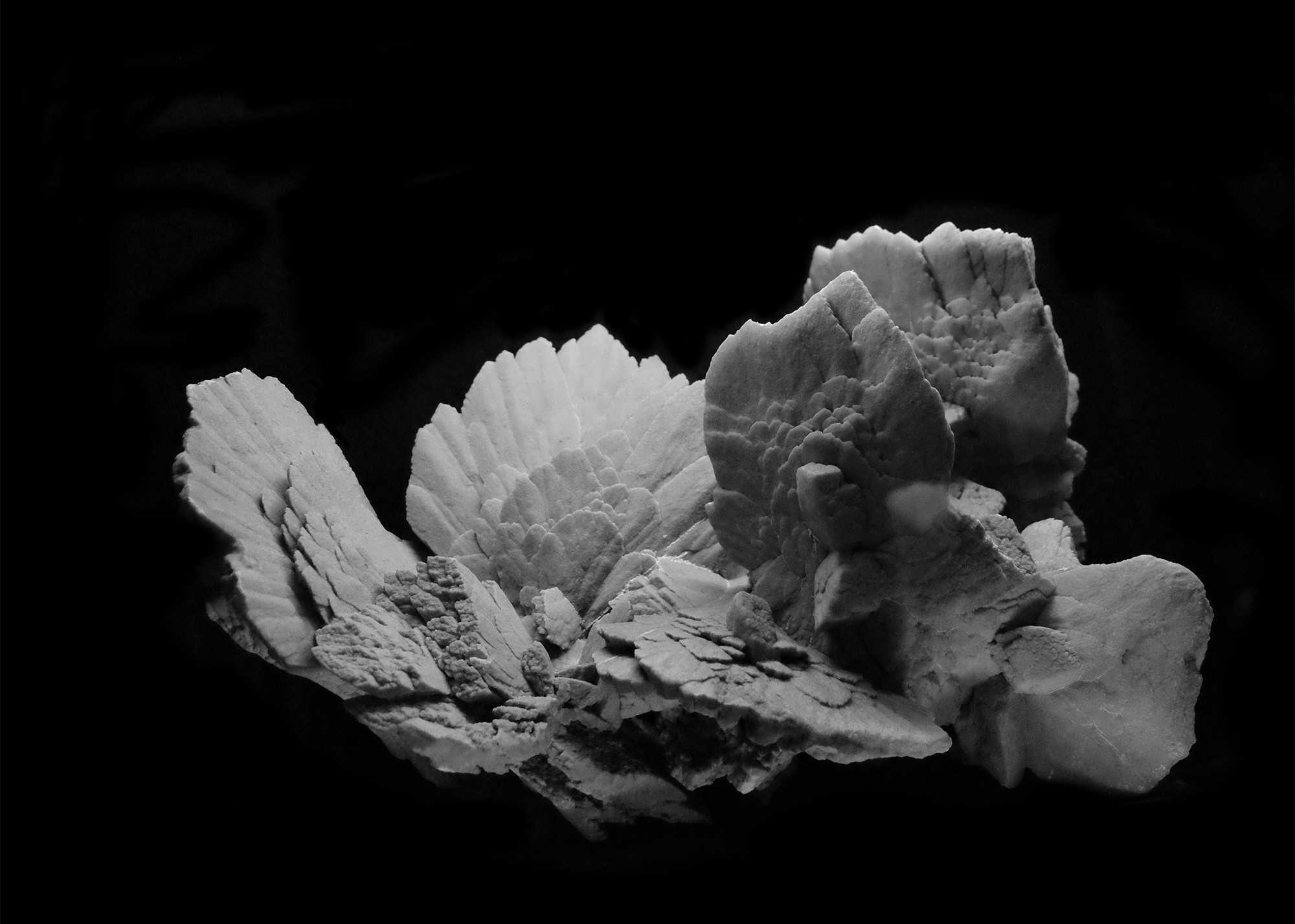 ©ElsaLaurent-Mineral-13