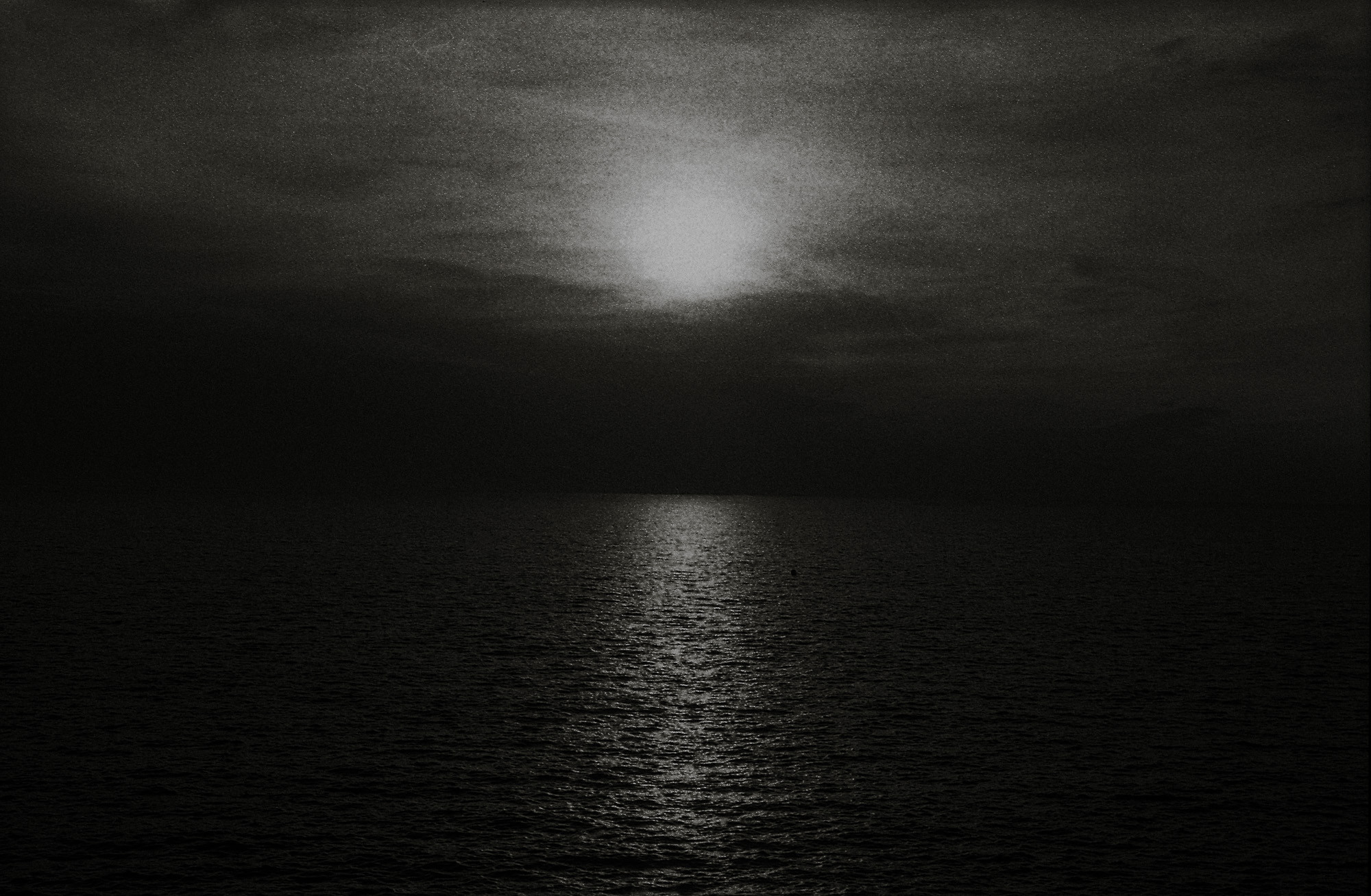 ©ElsaLaurent_Qualia___img385-01