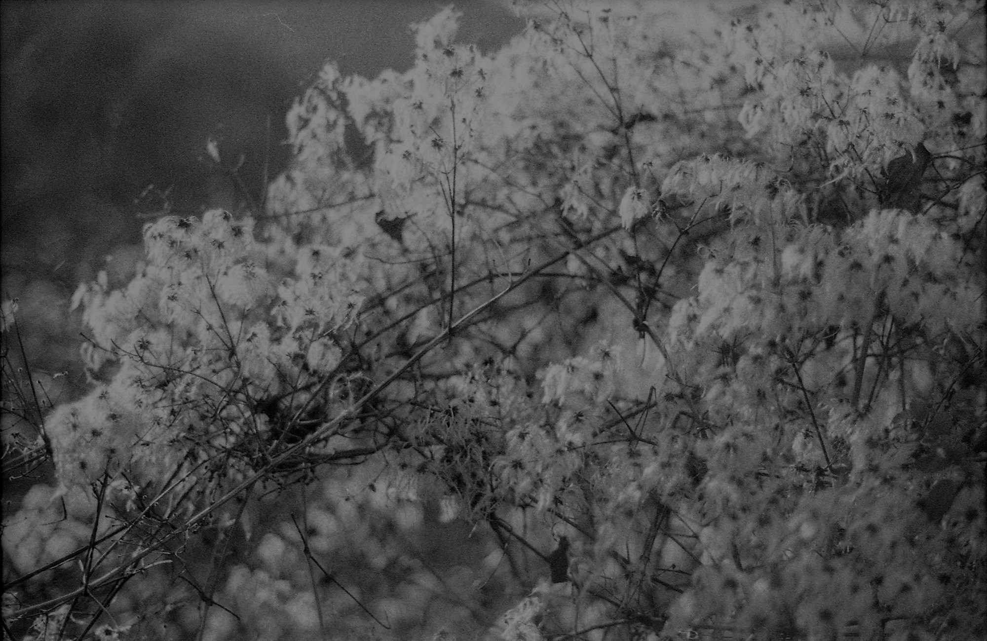 ©ElsaLaurent_Qualia_img324-03a