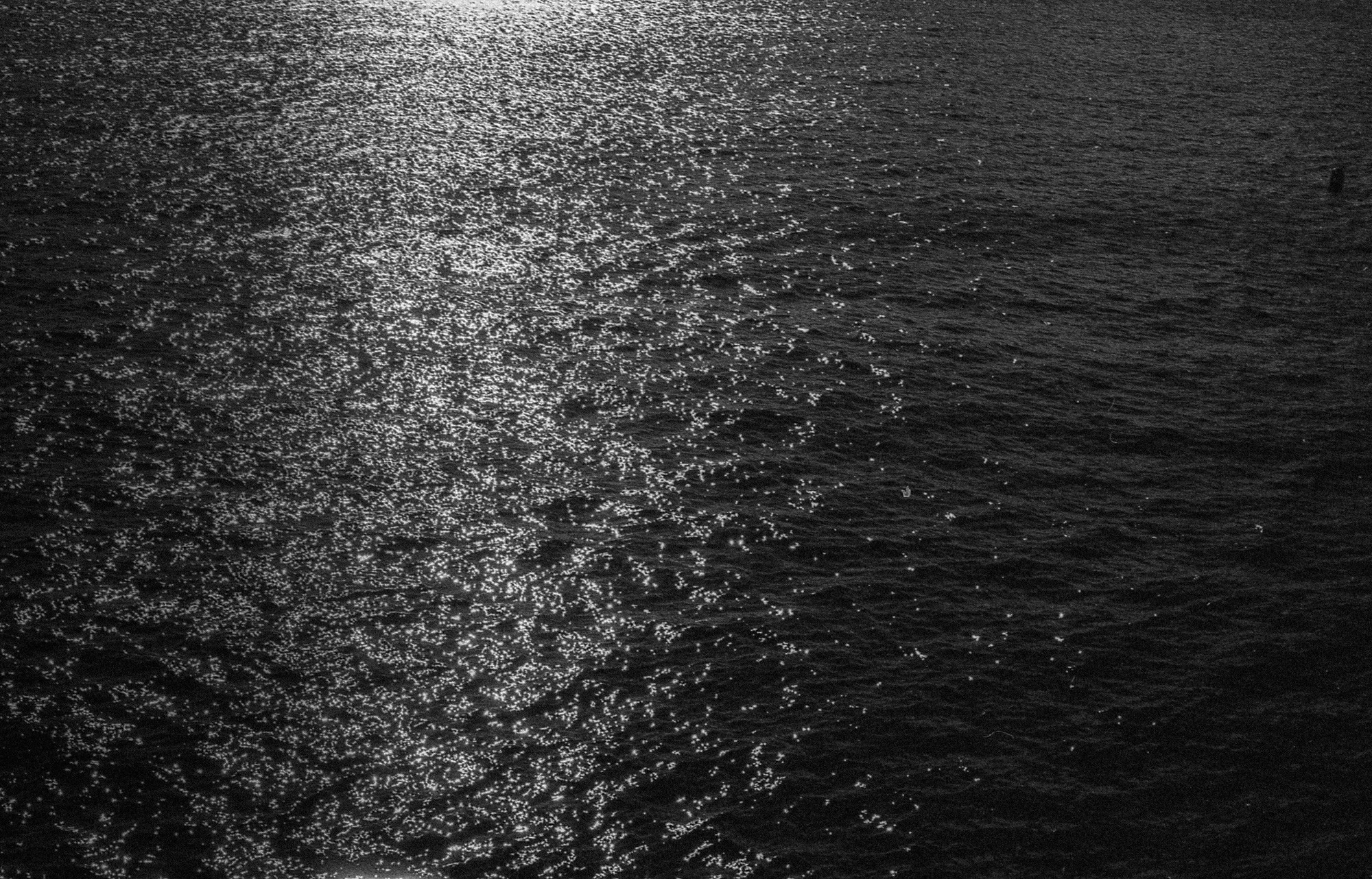 ©ElsaLaurent_Qualia_img364
