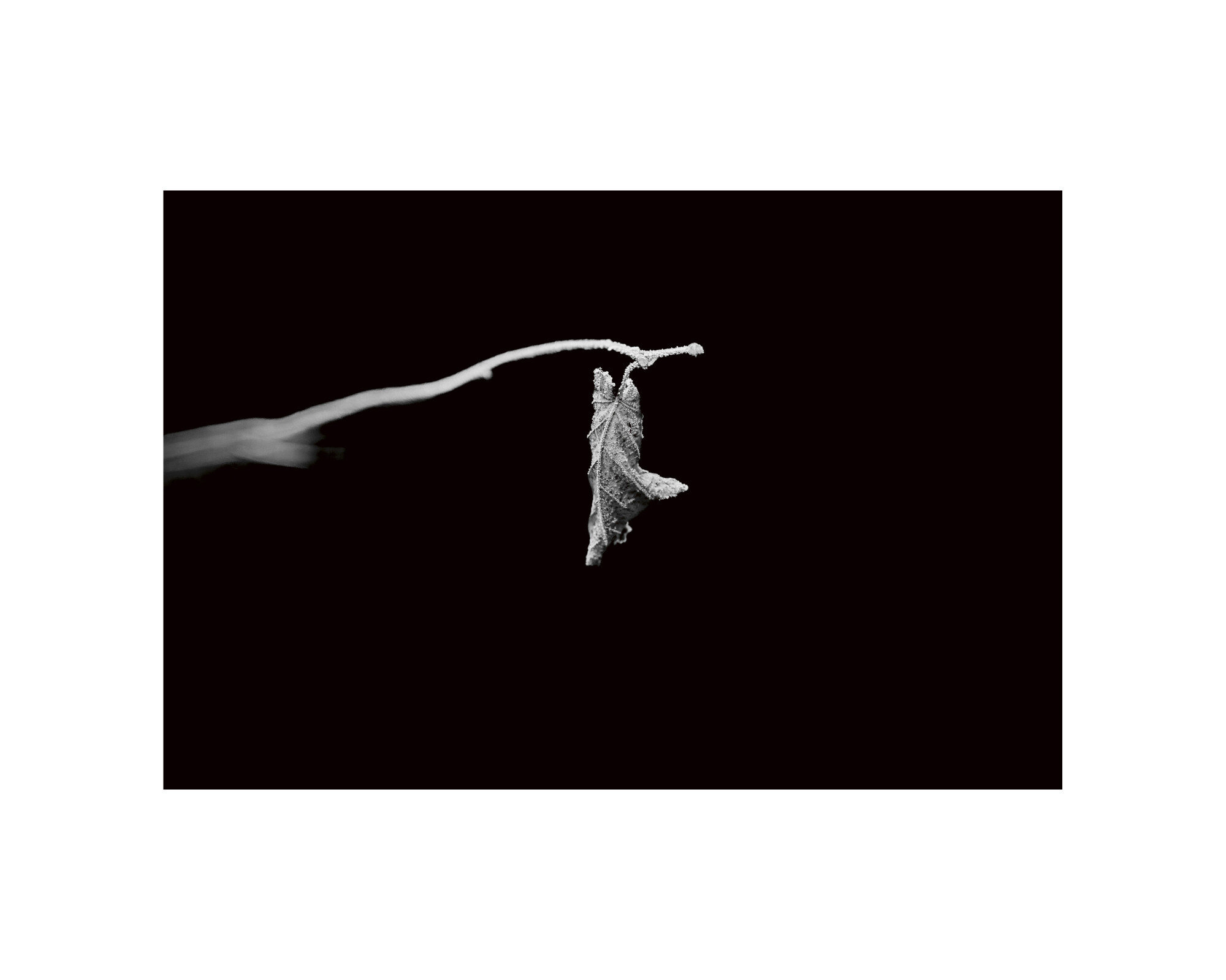 04_L-Ecoute-©ElsaLaurent-26