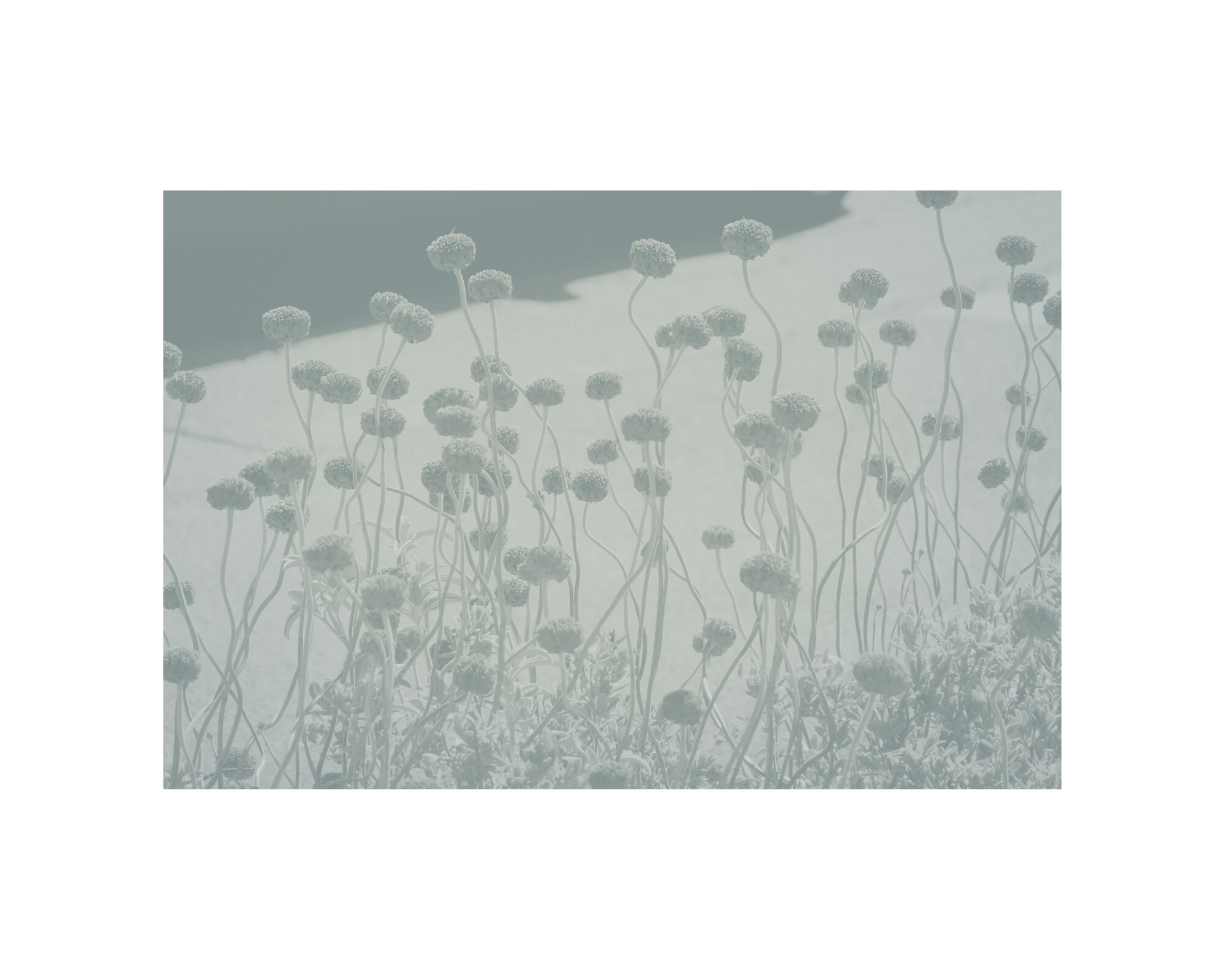 08_L-Ecoute-©ElsaLaurent-26