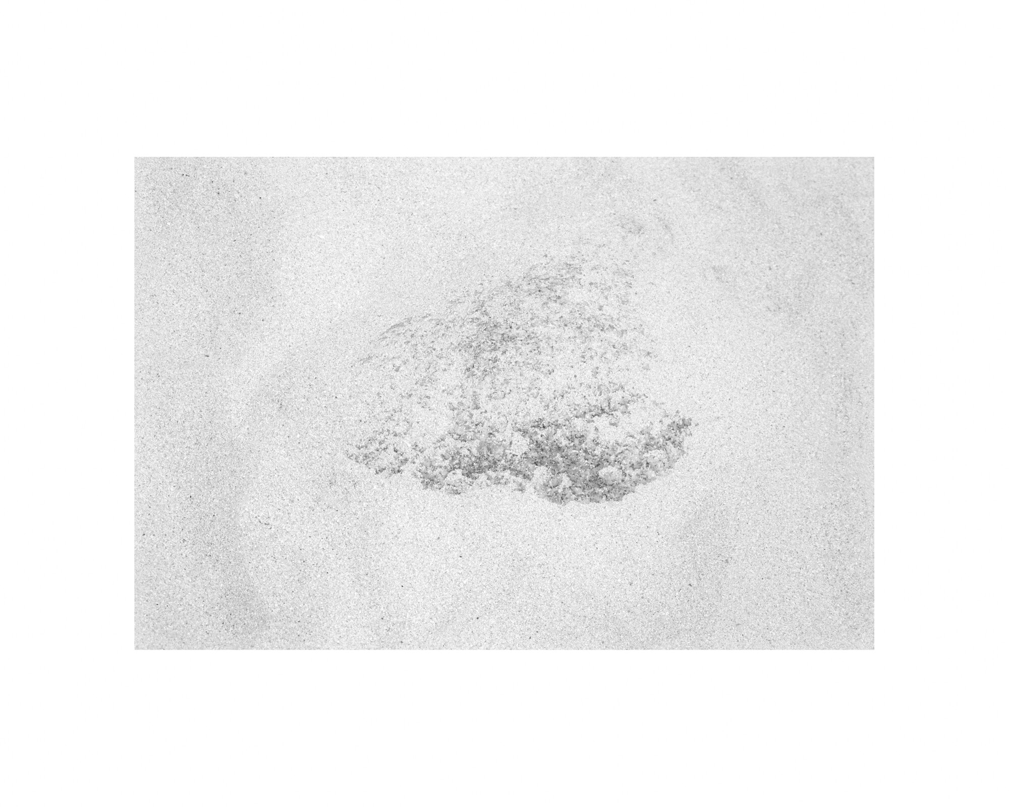 20_L-Ecoute-©ElsaLaurent-26