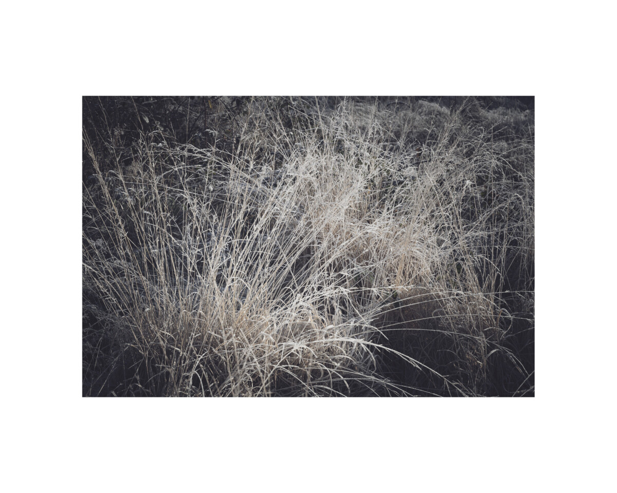 12_L-Ecoute-©ElsaLaurent-26