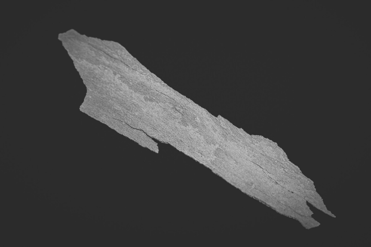 ©ElsaLaurent_150824_Plume_DSC0690