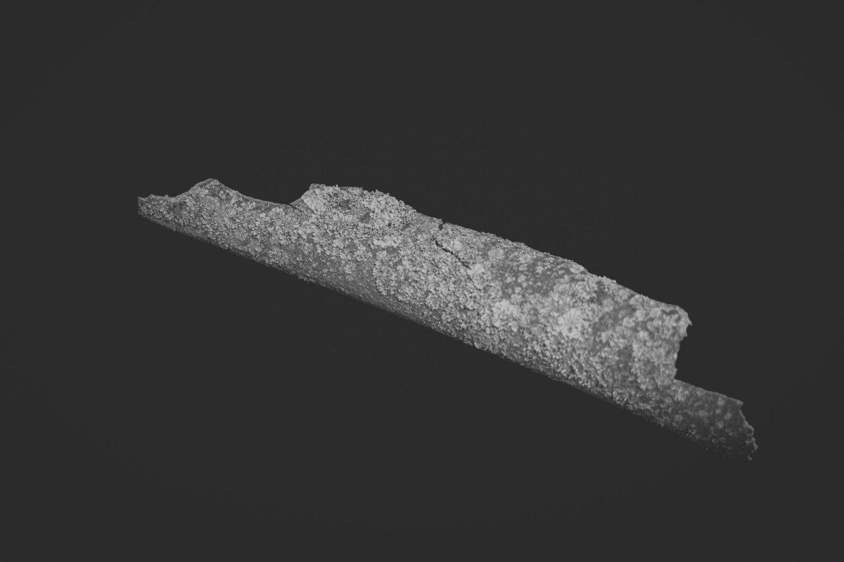 ©ElsaLaurent_150824_Plume_DSC0693