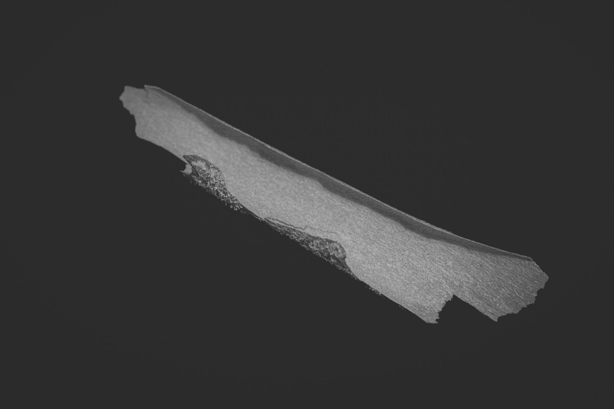 ©ElsaLaurent_150824_Plume_DSC0694