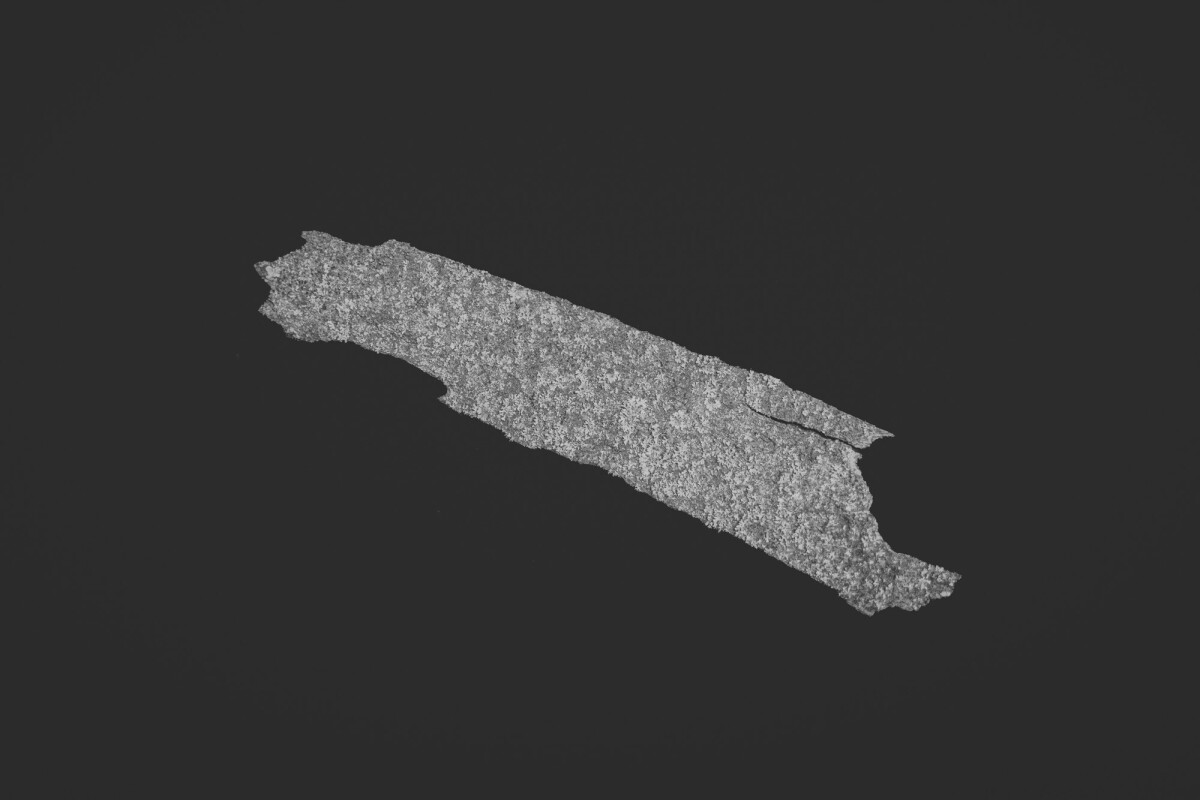 ©ElsaLaurent_150824_Plume_DSC0697