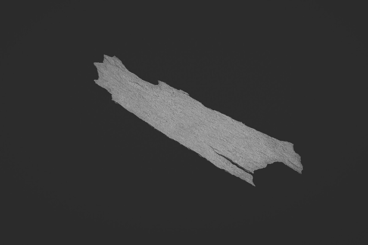 ©ElsaLaurent_150824_Plume_DSC0698