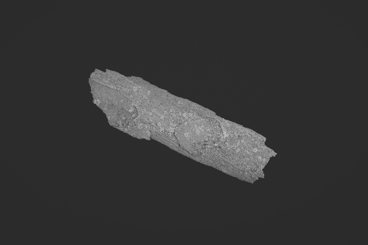 ©ElsaLaurent_150824_Plume_DSC0699