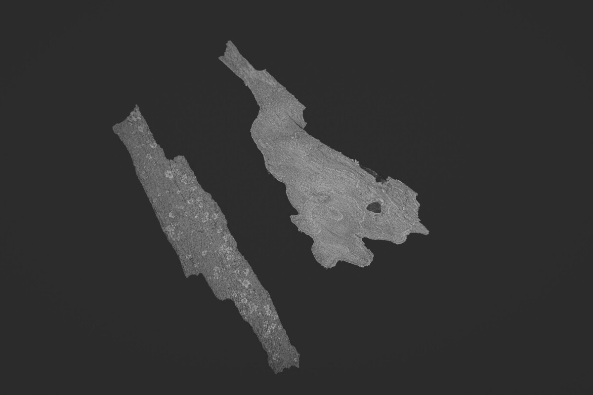 ©ElsaLaurent_150824_Plume_DSC0702