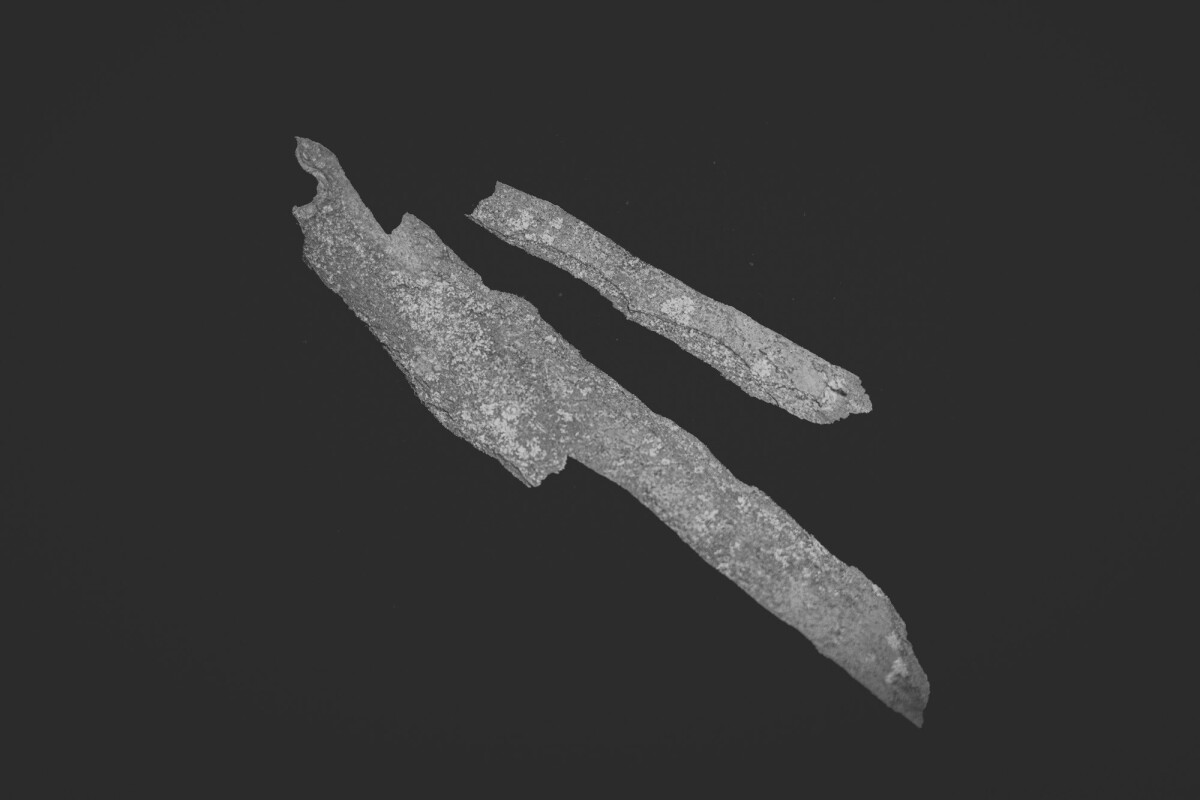 ©ElsaLaurent_150824_Plume_DSC0721