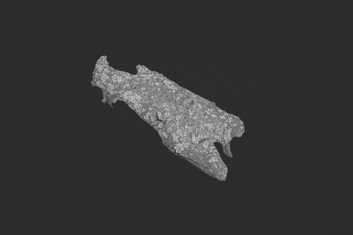 ©ElsaLaurent_150824_Plume_DSC0724