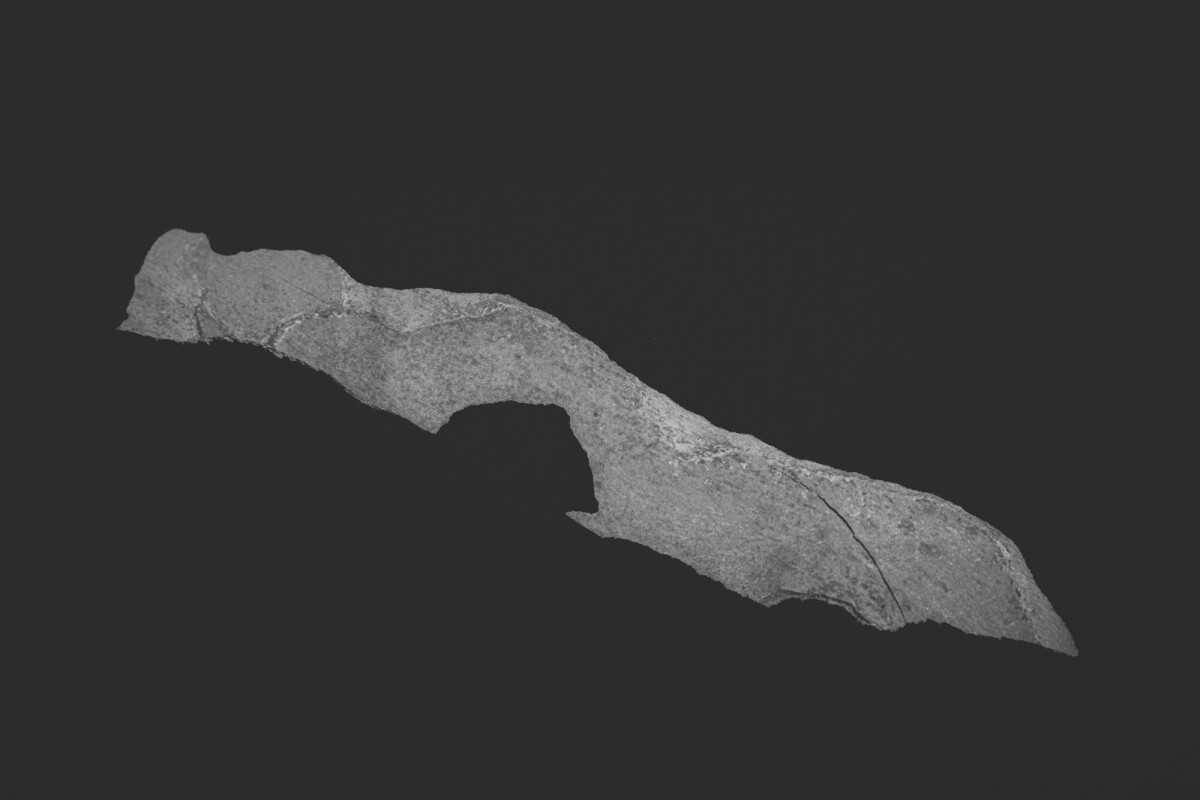 ©ElsaLaurent_150824_Plume_DSC0732