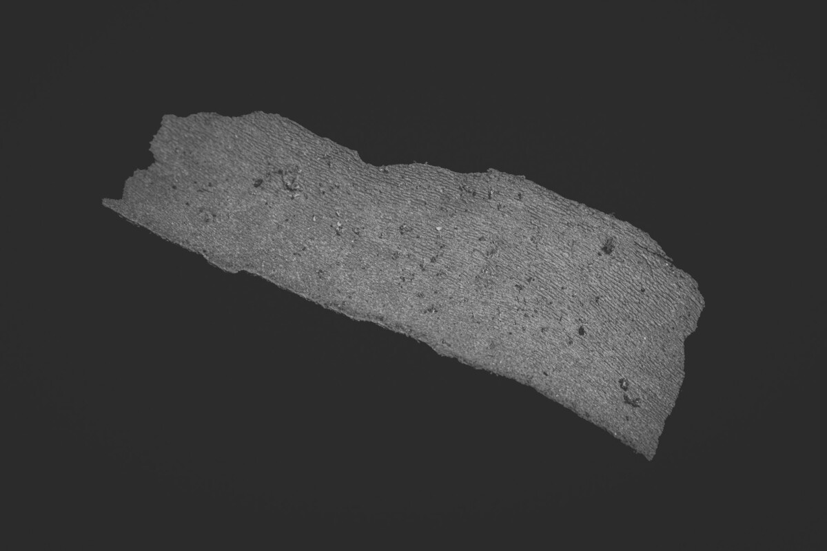 ©ElsaLaurent_150824_Plume_DSC0734