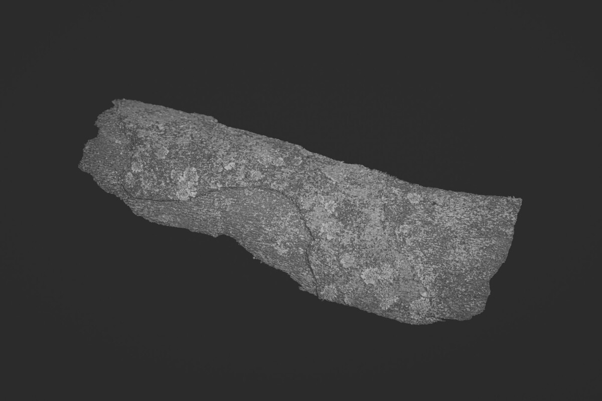 ©ElsaLaurent_150824_Plume_DSC0735