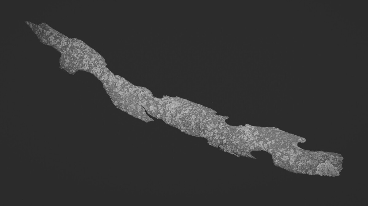 ©ElsaLaurent_150824_Plume_DSC0736-Panorama