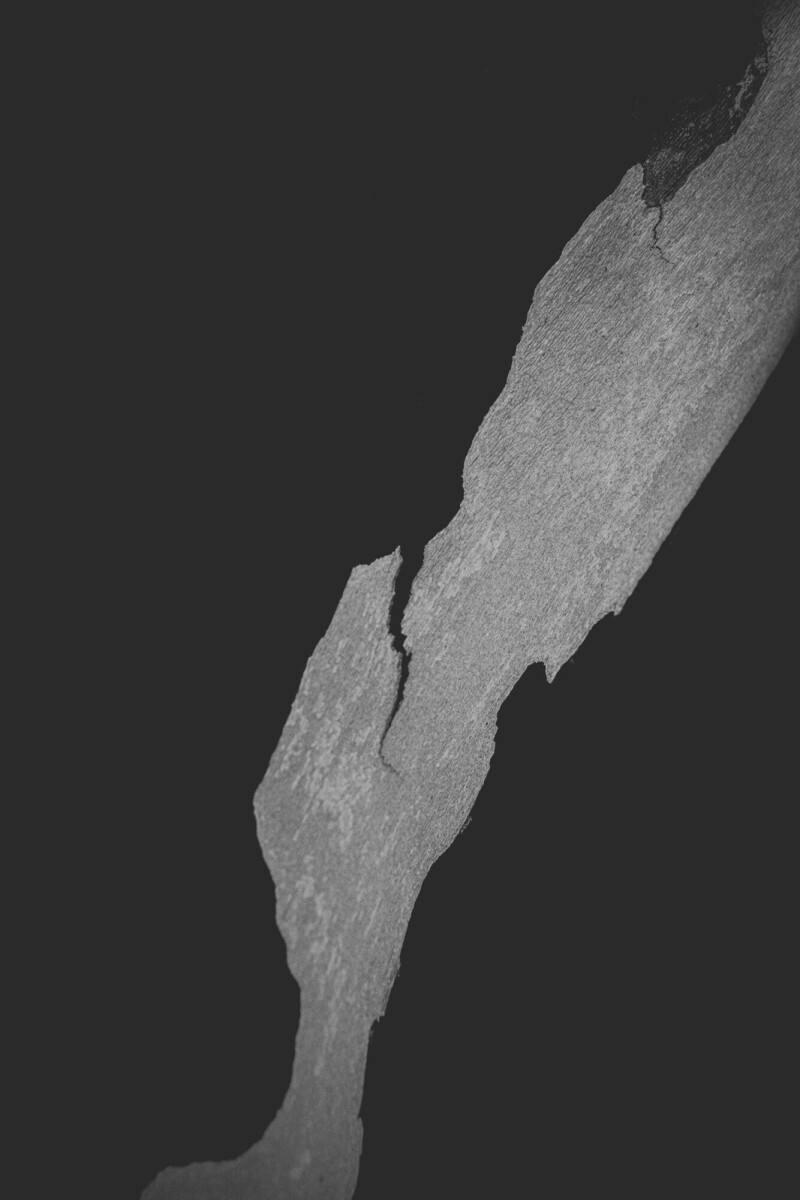 ©ElsaLaurent_150824_Plume_DSC0743