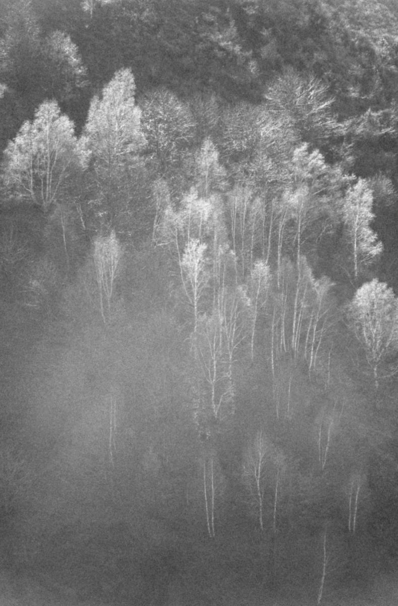 ©ElsaLaurent_ecoute